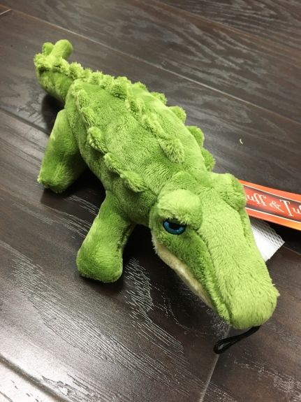 This is what an alligator dog toy looks like.  And hopefully this weekend, you will see a photo of this alligator dog toy in Gator's mouth.